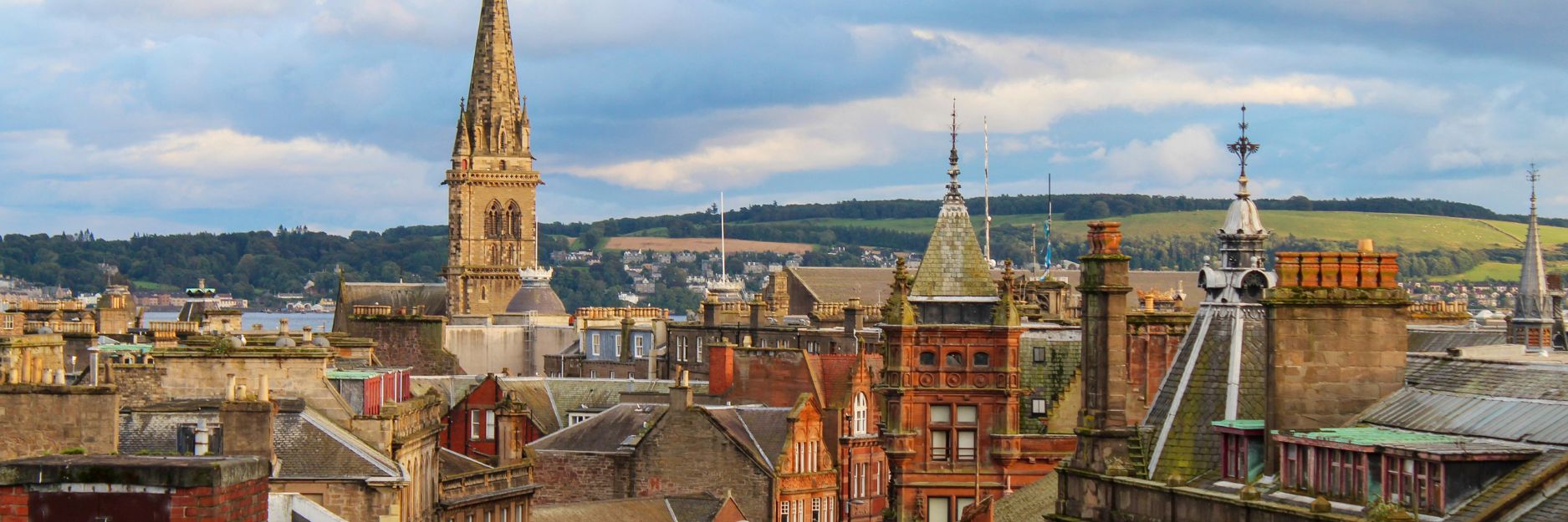 Photo by Zack Davidson on Unsplash